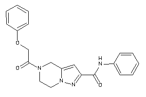 5-(2-phenoxyacetyl)-N-phenyl-6,7-dihydro-4H-pyrazolo[1,5-a]pyrazine-2-carboxamide