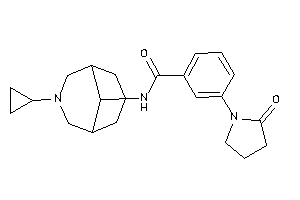 N-(7-cyclopropyl-7-azabicyclo[3.3.1]nonan-9-yl)-3-(2-ketopyrrolidino)benzamide