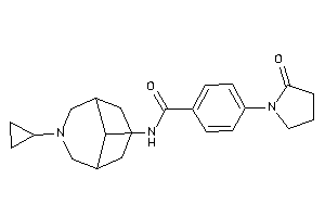 N-(7-cyclopropyl-7-azabicyclo[3.3.1]nonan-9-yl)-4-(2-ketopyrrolidino)benzamide