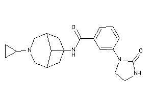 N-(7-cyclopropyl-7-azabicyclo[3.3.1]nonan-9-yl)-3-(2-ketoimidazolidin-1-yl)benzamide