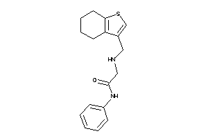 N-phenyl-2-(4,5,6,7-tetrahydrobenzothiophen-3-ylmethylamino)acetamide