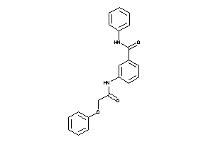 3-[(2-phenoxyacetyl)amino]-N-phenyl-benzamide