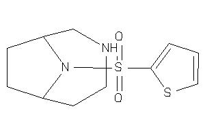 9-(2-thienylsulfonyl)-4,9-diazabicyclo[4.2.1]nonane