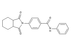 4-(1,3-diketo-3a,4,5,6,7,7a-hexahydroisoindol-2-yl)-N-phenyl-benzamide