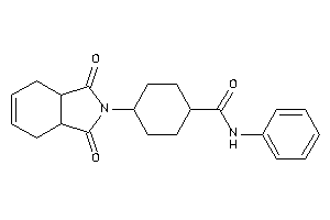 4-(1,3-diketo-3a,4,7,7a-tetrahydroisoindol-2-yl)-N-phenyl-cyclohexanecarboxamide