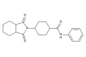 4-(1,3-diketo-3a,4,5,6,7,7a-hexahydroisoindol-2-yl)-N-phenyl-cyclohexanecarboxamide