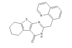 2-(8-quinolylmethyl)-5,6,7,8-tetrahydro-3H-benzothiopheno[2,3-d]pyrimidin-4-one