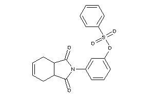 Benzenesulfonic Acid [3-(1,3-diketo-3a,4,7,7a-tetrahydroisoindol-2-yl)phenyl] Ester