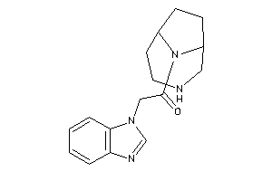 2-(benzimidazol-1-yl)-1-(4,9-diazabicyclo[4.2.1]nonan-9-yl)ethanone