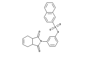 Naphthalene-2-sulfonic Acid [3-(1,3-diketo-3a,4,7,7a-tetrahydroisoindol-2-yl)phenyl] Ester