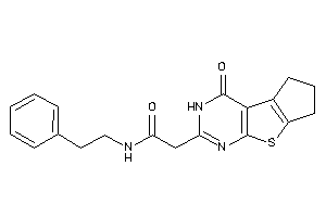 2-(ketoBLAHyl)-N-phenethyl-acetamide