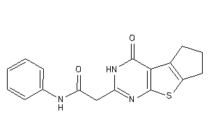 2-(ketoBLAHyl)-N-phenyl-acetamide