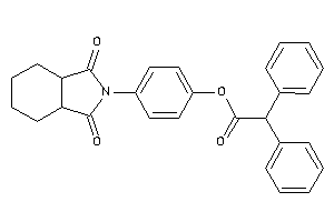 2,2-diphenylacetic Acid [4-(1,3-diketo-3a,4,5,6,7,7a-hexahydroisoindol-2-yl)phenyl] Ester