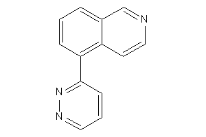 Image of 5-pyridazin-3-ylisoquinoline