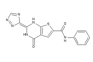 4-keto-N-phenyl-2-(1,2,4-triazol-3-ylidene)-1H-thieno[2,3-d]pyrimidine-6-carboxamide