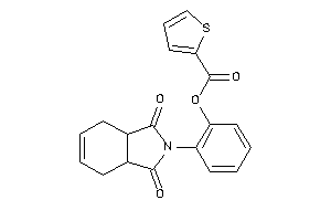 Thiophene-2-carboxylic Acid [2-(1,3-diketo-3a,4,7,7a-tetrahydroisoindol-2-yl)phenyl] Ester