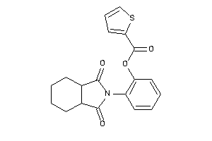 Thiophene-2-carboxylic Acid [2-(1,3-diketo-3a,4,5,6,7,7a-hexahydroisoindol-2-yl)phenyl] Ester