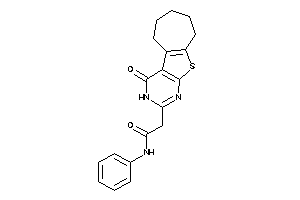 2-(ketoBLAHyl)-N-phenyl-acetamide