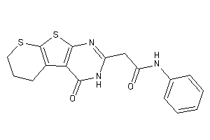 2-(ketoBLAHyl)-N-phenyl-acetamide