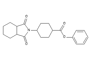 4-(1,3-diketo-3a,4,5,6,7,7a-hexahydroisoindol-2-yl)cyclohexanecarboxylic Acid Phenyl Ester