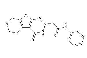 2-(ketoBLAHyl)-N-phenyl-acetamide