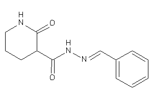N-(benzalamino)-2-keto-nipecotamide