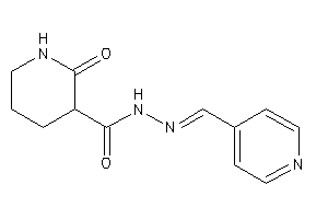 2-keto-N-(4-pyridylmethyleneamino)nipecotamide