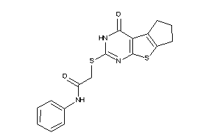 2-[(ketoBLAHyl)thio]-N-phenyl-acetamide