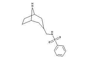 N-(8-azabicyclo[3.2.1]octan-3-ylmethyl)benzenesulfonamide