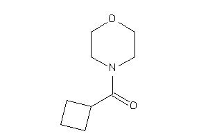 Cyclobutyl(morpholino)methanone