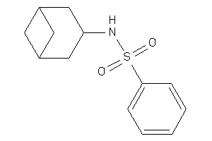 N-norpinan-3-ylbenzenesulfonamide