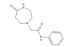 2-(5-keto-1,4-diazepan-1-yl)-N-phenyl-acetamide