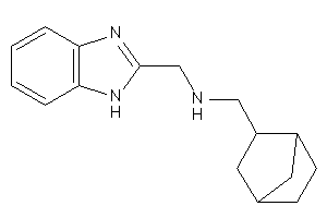 1H-benzimidazol-2-ylmethyl(2-norbornylmethyl)amine