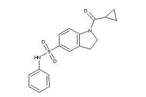 Image of 1-(cyclopropanecarbonyl)-N-phenyl-indoline-5-sulfonamide