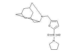 (5-pyrrolidinosulfonyl-2-furyl)methylBLAH