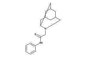 N-phenyl-2-BLAHyl-acetamide