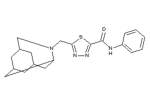 N-phenyl-5-(BLAHylmethyl)-1,3,4-thiadiazole-2-carboxamide