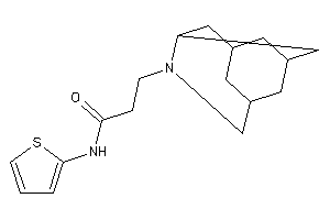 N-(2-thienyl)-3-BLAHyl-propionamide