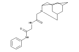 N-phenyl-2-[(2-BLAHylacetyl)amino]acetamide