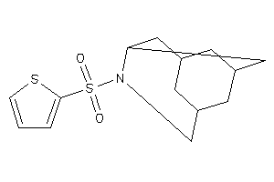 Image of 2-thienylsulfonylBLAH