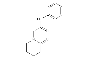 2-(2-ketopiperidino)-N-phenyl-acetamide