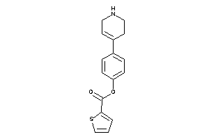 Thiophene-2-carboxylic Acid [4-(1,2,3,6-tetrahydropyridin-4-yl)phenyl] Ester