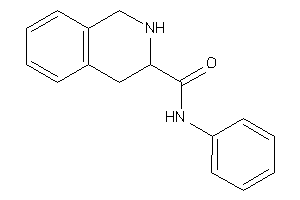 N-phenyl-1,2,3,4-tetrahydroisoquinoline-3-carboxamide