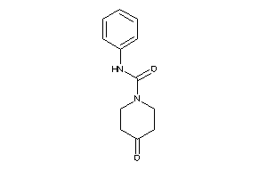 4-keto-N-phenyl-piperidine-1-carboxamide