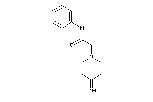 2-(4-iminopiperidino)-N-phenyl-acetamide