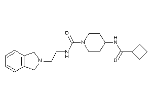 4-(cyclobutanecarbonylamino)-N-(2-isoindolin-2-ylethyl)piperidine-1-carboxamide