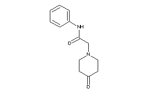 2-(4-ketopiperidino)-N-phenyl-acetamide