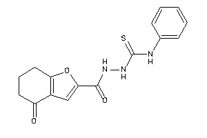 1-[(4-keto-6,7-dihydro-5H-benzofuran-2-carbonyl)amino]-3-phenyl-thiourea