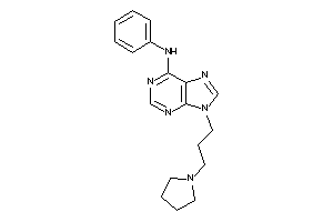 Phenyl-[9-(3-pyrrolidinopropyl)purin-6-yl]amine