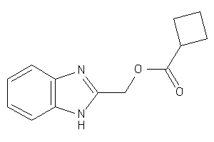 Cyclobutanecarboxylic Acid 1H-benzimidazol-2-ylmethyl Ester